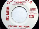 DEL SATINS 45 Feelin' No Pain / Who Cares NEAR MINT Doo Wop PROMO mg218