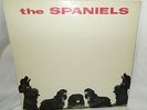 THE SPANIELS s/t White Label Promo WLP DJ Original Vee Jay Vinyl LP Doo Wop