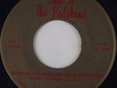 HAIL TO THE REDSKINS: 45 record S.SCHREIBER NFL FOOTBALL official fight song