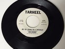DOO WOP 45 PROMO / RUN-A-ROUNDS / ARE YOU LOOKING / LET THEM TALK / TARHEEL HEAR