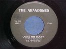 Hear Rare Chicago garage/The Abandoned/Come On Mary/visual VG- plays far better