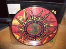 Alice In Chains - Would 45 RARE UK Import Picture Disc Limited Grunge Metal 1993