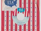 The Cherry Slush 1968 I Cannot Stop You 45w/PS USA Garage Unused Stock Mint