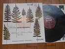 SIBELIUS / D.OISTRAKH violin LP Holland PHILIPS 835.570 AY STEREO NMINT