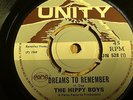 THE HIPPY BOYS...DREAMS TO REMEMBER.. RARE  UK ISSUE UNITY UN 528