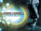 Chris Cornell - Euphoria Mourning (Vinyl LP / Album) (New)