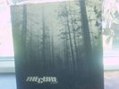 THE CURE A Forest RARE 12