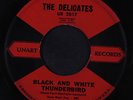DELICATES: Black And White Thunderbird / Ronnie Is My Lover 45 Oldies