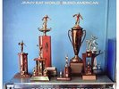 Jimmy Eat World - Bleed American
