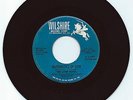 DOO WOP 45 THE LOVE NOTES MATHEMATICS OF LOVE  ON WILSHIRE VG+  ORIGINAL  PROMO