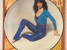 KATE BUSH -THE KICK INSIDE - LP VINYL 33rpm PICTURE DISC