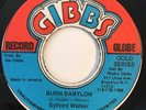 * SYLFORD WALKER Burn Babylon/Dub KILLER ROOTS REGGAE JOE GIBBS 45 Hear