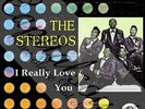 60S R/B DOO WOP MGM THE STEREOS I REALLY LOVE YOU PICTURE SLEEVE