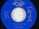 Sugar Cane 