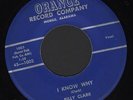 1959 Billy Clark Alabama Rockabilly (I Know Why b/w I Saw a Dream Walkin)