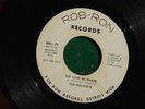 THE HOLIDAYS - THE LOVE WE SHARE / THIS IS LOVE - DETROIT SOUL 45 Rob-Ron *HEAR