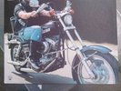 David Allan Coe LP RIDES AGAIN . 1977 LP ALBUM RECORD OUT OF PRINT.