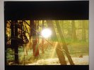 Childish Gambino CAMP (2011) U.S. Original Pressing 2xLP 180 Gram Vinyl