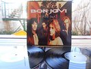 Bon Jovi ?– These Days 2 X LP EU 1995 EX TOP RARE 1ST VINYL MINT