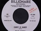 RULIE GARCIA: Candy Is Dandy / Prescription-rock And Roll 45 (dj, promo tol) Ol