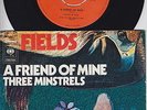 FIELDS * 1972 UK Heavy FREAKBEAT PROG PSYCH * Dutch 45 * Listen