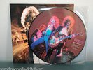 LED ZEPPELIN 'WHOLE LOTTA FRANKFURT' LIVE 1980 PIC LP PICTURE DISC VINYL RARE NM