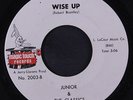 JUNIOR & CLASSICS: Wise Up / Mix Up 45 Soul