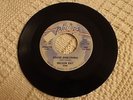 SUN/PHILLIPS 3568 NELSON RAY  YOU'RE EVERYTHING/YOU'VE COME HOME