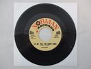 RAY RUFF LET ME TELL YOU ABOUT LINDA/ MY GIFT TO YOU 45 TEEN BOPPER Norman NM