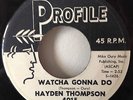 Hayden Thompson 1961 Watcha Gonna Do Profile 4015 Promo Rare Rockabilly VG++