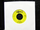 The Castaways - Liar, Liar / Sam VG+ 7