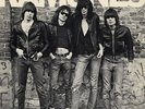 RAMONES First Album SIRE RECORDS (1976) Sealed COLORED VINYL LP