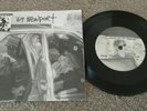OPERATION IVY '69 NEWPORT 45 record hedgecore left behind