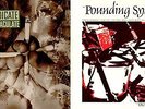 DUB  SYNDICATE - 2 x vinyl LPs - Pounding System / Stoned Immaculate