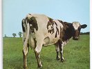 PINK FLOYD Atom heart mother symphonic psych prog french harvest SHVL 781 LP