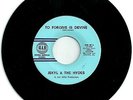 JEKYL & THE HYDES  45-Single “High Heeled Sneakers”  1967 Missouri Punk Garage