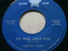 ROCKABILLY Harvey Hurt BIG DOG LITTLE DOG Silver Star 45 rare rocker