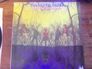 American Blues pre ZZ Top LP Do Their Thing uni texas psych 1968