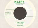 DAVID RAY-7