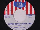 JUNIOR WELLS: Lovey Dovey Lovey One / Come On In This House 45 Soul