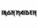 Iron Maiden - Empire of the Clouds picture disc 12