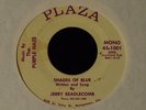 Jerry Beadlecomb & The Purple Haze-Shades Of Blue-1967 Alabama Fuzz Psych 45