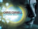 CHRIS CORNELL - EUPHORIA MOURNING (180 G/WITH DOWNLOAD) - VINYL