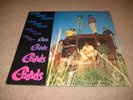 RARE PRIVATE PRESS THE CHORDS HERE & NOW XIAN FUNK PSYCH LP RECORD GOLDEN SHELL