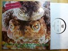 LP, Peter And The Test Tube Babies, Mating Sounds Of South American Frogs, Orig.