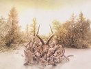 Soundgarden - King Animal Vinyl 2LP + Digital NEU 0551238n