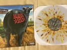 BLINK 182 DUDE RANCH VINYL LP CLEAR WITH BROWN AND ORANGE SPLATTER OOP