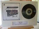 Guns 'N' Roses 'November Rain' Mounted Original 7
