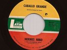 Dancefloor Cumbia 45 HERMES NIÑO Caballo Grande / Mueve El Esquel LATIN Hear mp3