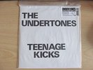 THE UNDERTONES TEENAGE KICKS LTD EDITION 2000/1317 NUMBERED